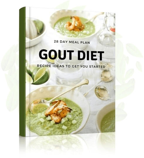 28 Day Meal Plan: Gout Diet | Recipe ideas to get you started | stopuricacid.com